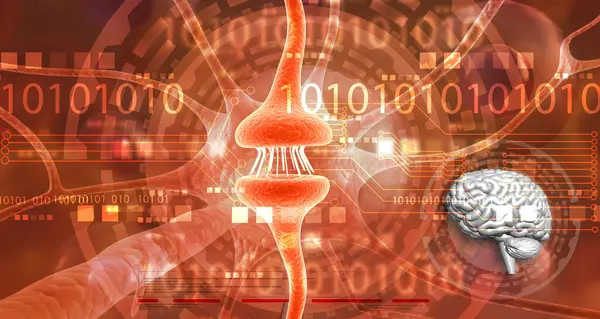 Stock image nerve cells with binary codes on technology background. 3d illustration