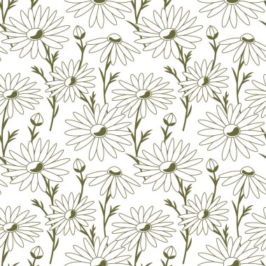 Papatya çayı çiçekleri şeffaf arka planda hatlar çizer, kusursuz vektör deseni. Baskı, moda, tekstil, kumaş, dekoratif arkaplan, ambalaj için moda çiçek dokusu