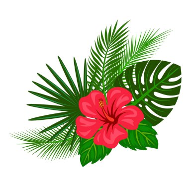 Tropikal bitkiler ve çiçek düzenleme, beyaz arka planda izole dekoratif çiçek deseni, vektör illüstrasyon.