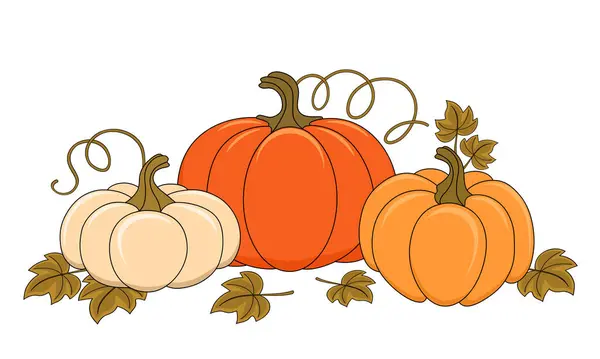 Olgun balkabağı düz vektör çizimi, tasarım için dekoratif elementler, sonbahar hasadı ve bahçe konsepti..