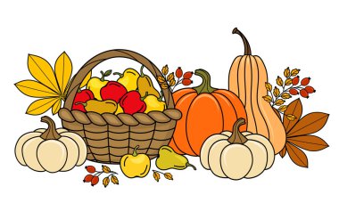 Balkabağı ve elmaların güz hasadı, yapraklar ve gül kalçalarıyla süslenmiş hasat sepeti, vektör illüstrasyonu, afiş, tebrik kartı..