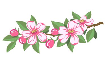 Tebrik kartı, bayrak, ambalaj için kiraz çiçeği bahar dalı renkli vektör illüstrasyon dekoratif tasarım elementi