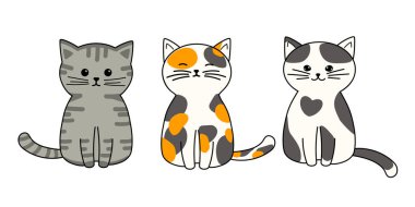 Çizgili şirin kedi, üç renkli kedi ve benekli kedi koleksiyonu, beyaz arka planda vektör çizimleri, çizgi film tarzında dekoratif tasarım elemanları.