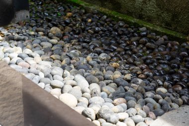 A Collection of Multi-Colored Smooth River Stones in Natural Arrangement clipart