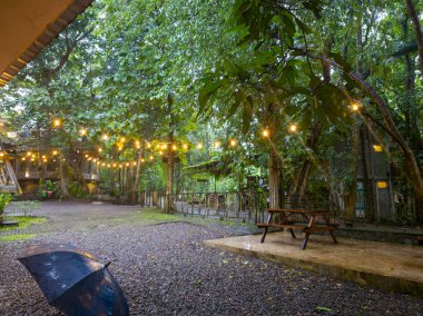 İp ışıkları ve tenha koltukları olan huzurlu bir bahçe.