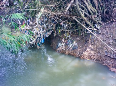 Plastik Kirliliğiyle Nehir Kıyısı Bitki ve Su Arasında Çöp