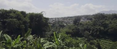 Yoğun ağaçlar, ön planda muz bitkileri ve açık mavi gökyüzünün altında yeşillikte yuva yapmış uzak bir köyden oluşan yeşil bir tepe manzarası. Doğa, seyahat ve kırsal bölgeler için mükemmel..