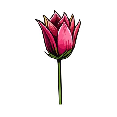 Çiçeksel Süblimleşme İklim Vektörü, Suluboya Çiçek Süsleme Vektörü Tasarımları, Renkli Yaban Çiçekleri Süblimleşme İklimi, Çiçek Vektörü İklim Koleksiyonu, Çiçek Süsleme Grafikleri, EPS Dosyası