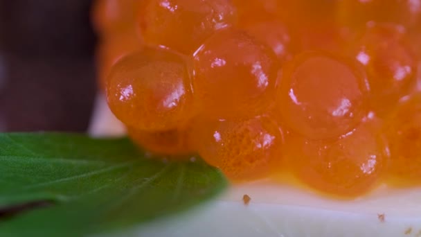 Caviar Rojo Giraba Sobre Fondo Negro Rotación Del Caviar Salmón — Vídeo de stock