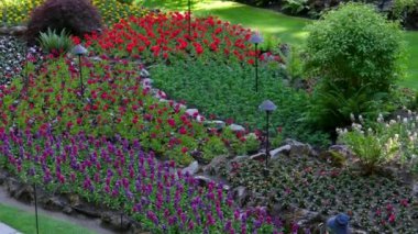 Butchart Bahçeleri Victoria Adası 'ndaki Butchert' in ünlü bahçeleri. Kanada mı? Yüksek kalite 4k görüntü