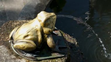 Butchart Bahçeleri Victoria Adası 'ndaki Butchert' in ünlü bahçeleri. Kanada Çeşmesi. Yüksek kalite 4k görüntü