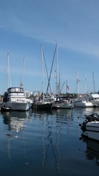位于加拿大不列颠哥伦比亚省维多利亚市的渔民码头渔民之家的船屋在温哥华岛漂流 而位于内港渔民码头码头的游艇则在温哥华岛漂流 高质量4K — 图库视频影像