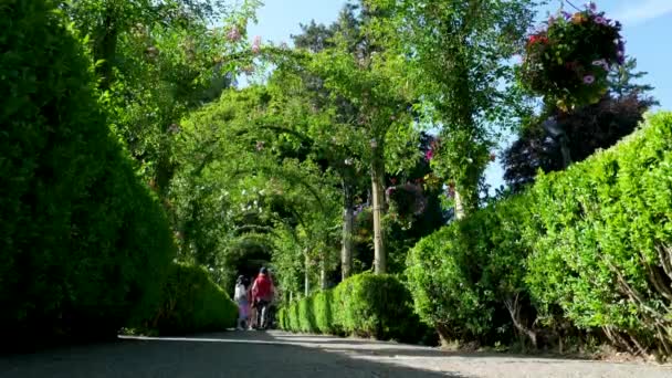 Butchart Gardens Célèbres Jardins Butchert Sur Île Victoria Rose Garden — Video