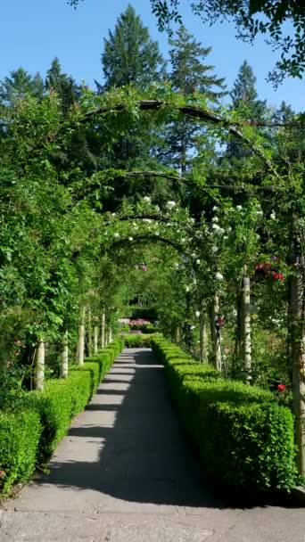 Butchart Gardens Híres Mészároskertjei Victoria Islanden Rózsakert Kanada Kiváló Minőségű — Stock videók