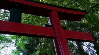 Butchart Bahçeleri Victoria Adası 'ndaki Butchert' in ünlü bahçeleri. Japon bahçesi Kanada. Yüksek kalite 4k görüntü