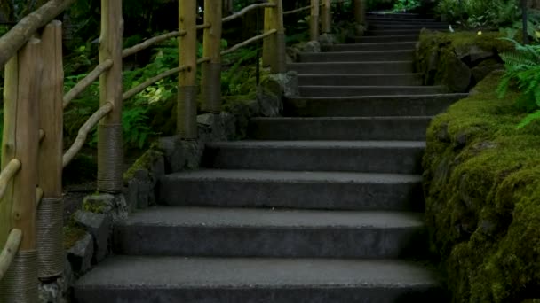 Butchart Gardens Adalah Taman Terkenal Butchert Pulau Victoria Taman Jepang — Stok Video