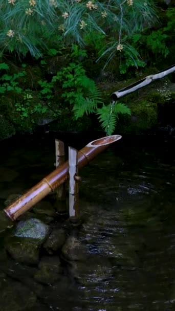 Butchart Gardens Beroemde Tuinen Van Butchert Victoria Island Japanse Tuin — Stockvideo