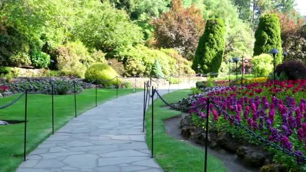ビクトリア島のバッチャート庭園の有名な庭園 カナダ 高品質の4K映像 — ストック動画