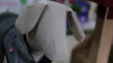 Evcil hayvan dükkanında köpek, papağan, tavşan, hamster ve kobay ürünleri için yiyecek ve giyecek satışı var. Aptal köpek.