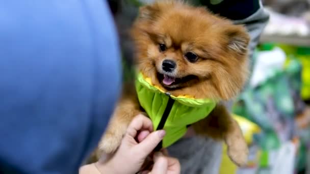 Tienda Mascotas Tiene Una Venta Alimentos Ropa Para Tus Mascotas — Vídeos de Stock