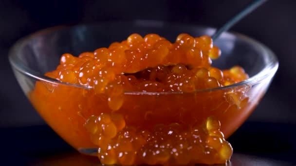 Orange Keta Chum Lax Kaviar Tenn Krossad Med Pärlemor Sked — Stockvideo