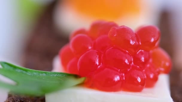 Salmon Red Kaviár Bílé Pozadí Luxusní Delikatesa Syrové Mořské Plody — Stock video