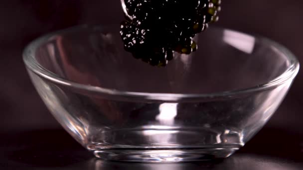 テーブルの背景に黒と赤のキャビアで分割された料理 高品質の写真 — ストック動画
