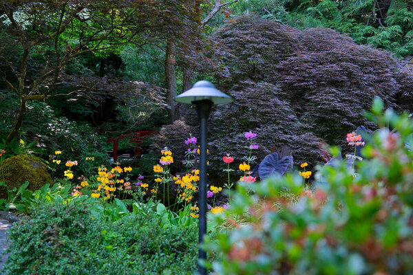 The Butchart Gardens famous gardens of Butchert on Victoria Island. Japanese garden Canada. High quality 4k footage