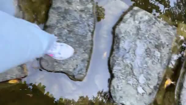 ジーンズの水の上の石の上を歩く女性の足とスニーカーの少女は 水の自然の中の木の葉の小石の反射に歩いています 森を歩きます 文明化された道路 — ストック動画