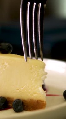 Cheesecake 'ten bir ısırık alıyorum. Klasik New York peynirli kek dilimi, çatalla yemek. New York peynirli keki, yaban mersini kremalı ve buruşuk çatallı lezzetli bir tatlı.
