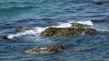 Okyanus Dalgaları Sunset 'te Olağandışı Kara Volkanik Sahile çarpıyor. İzlanda 'da saf doğa. Cliff Dağları Saf Deniz Suyu ile Saf Deniz Kıyısı. Avrupa seyahati. 