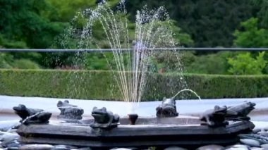 Butchart Bahçeleri Victoria Adası 'ndaki Butchert' in ünlü bahçeleri. Kanada çeşmesi. Yüksek kalite 4k görüntü