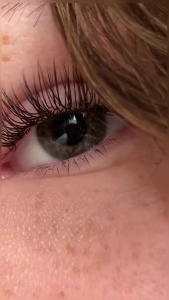 Αριστερό Μάτι Του Όμορφου Νεαρού Κοριτσιού Βλεφαρίδες Προεκτάσεις Φακίδες Στα — Αρχείο Βίντεο