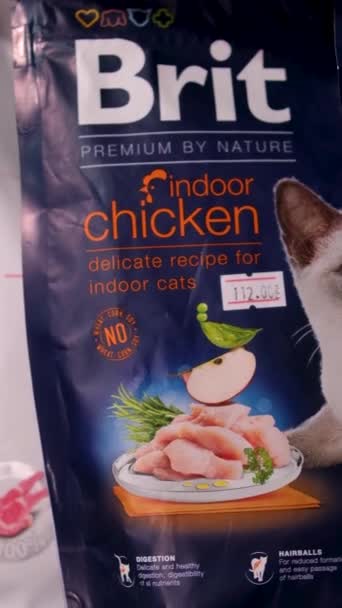 Aliments Pour Animaux Compagnie Dans Magasin Brit Care Feed Haute — Video