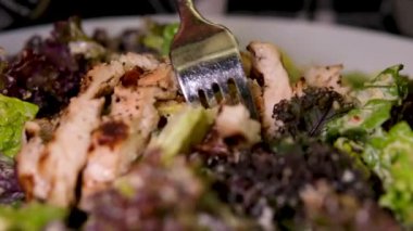 Kırmızı tabakta salata ve domatesli ızgara tavuk filetosu. Yüksek kalite 4k görüntü