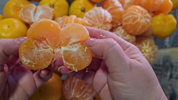Vinter Snö Jul Semester Utrymme Xmas Mat Och Koncept Tangeriner — Stockvideo