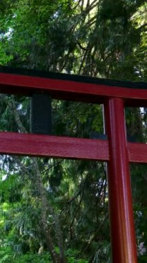 Butchart Bahçeleri Victoria Adası 'ndaki Butchert' in ünlü bahçeleri. Japon bahçesi Kanada. Yüksek kalite 4k görüntü