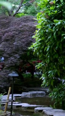 Butchart Bahçeleri Victoria Adası 'ndaki Butchert' in ünlü bahçeleri. Japon bahçesi Kanada. Yüksek kalite 4k görüntü