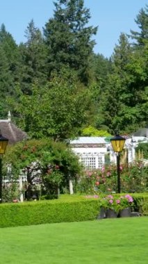 Butchart Bahçeleri Victoria Adası 'ndaki Butchert' in ünlü bahçeleri. Kanada gül bahçesi. Yüksek kalite 4k görüntü