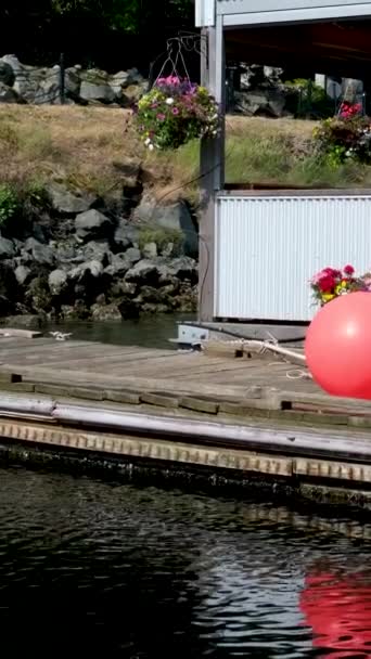 Victoria British Columbia Canada Fishermans Rıhtım Evi Vancouver Adası Boat — Stok video
