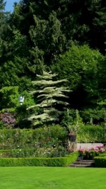 Butchart Bahçeleri Victoria Adası 'ndaki Butchert' in ünlü bahçeleri. Kanada gül bahçesi. Yüksek kalite 4k görüntü
