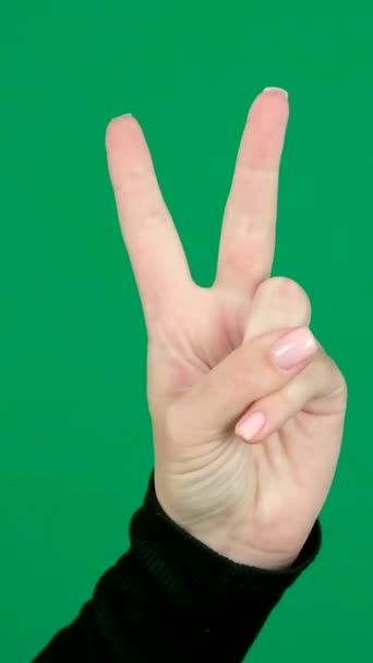 用手指数着2 5握紧在一个拳头黑色夹克上 手握着一个绿色的背景铬钥匙 高质量的 — 图库视频影像