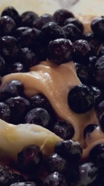 Noel için lezzetli meyveli turta hazırlama, üzerine pudra şekeri ve fındık ekleme video seti serpiştirme ve unlu yumurta, donmuş yaban mersini ekleme süreci. Yüksek kalite