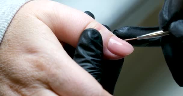 Szczegóły Manicure Paznokci Przy Użyciu Pliku Lub Pędzla Piękny Proces — Wideo stockowe