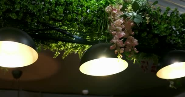 Une Lampe Dans Café Contre Mur Vert Clair Images Haute — Video