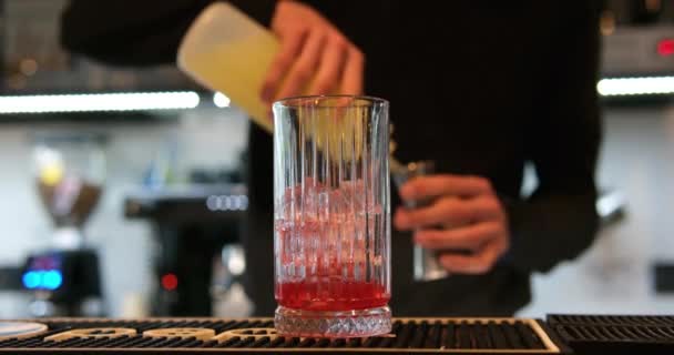 Barman Especialista Está Fazer Cocktails Bar Imagens Alta Qualidade — Vídeo de Stock