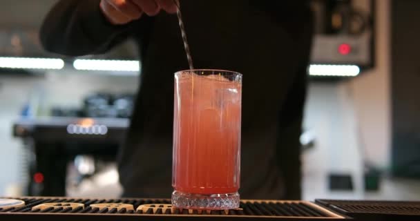 Barmen Barda Buzlu Bir Içecek Karıştırıyor Yüksek Kalite Görüntü — Stok video