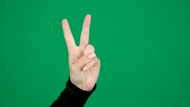 Count Fingers Three Female Hand Green Chromakey Background Space Text — Stock Video