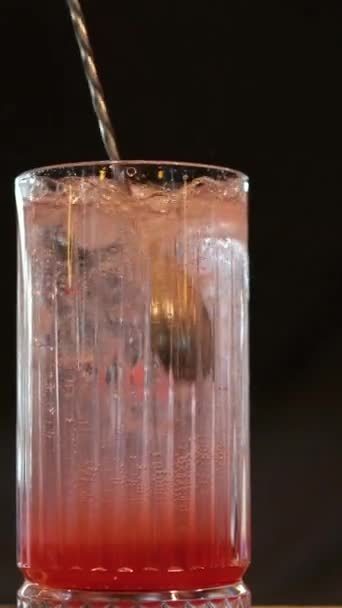 酒保在酒吧里搅拌冰饮料 高质量的4K镜头 — 图库视频影像