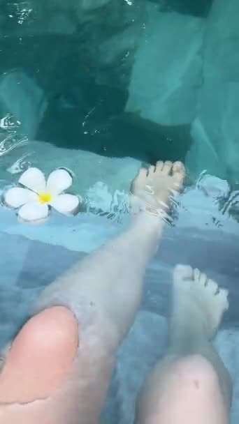 표면에 Frangipani 수영장에서 스플래시로 둘러싸여 고품질 Fullhd — 비디오